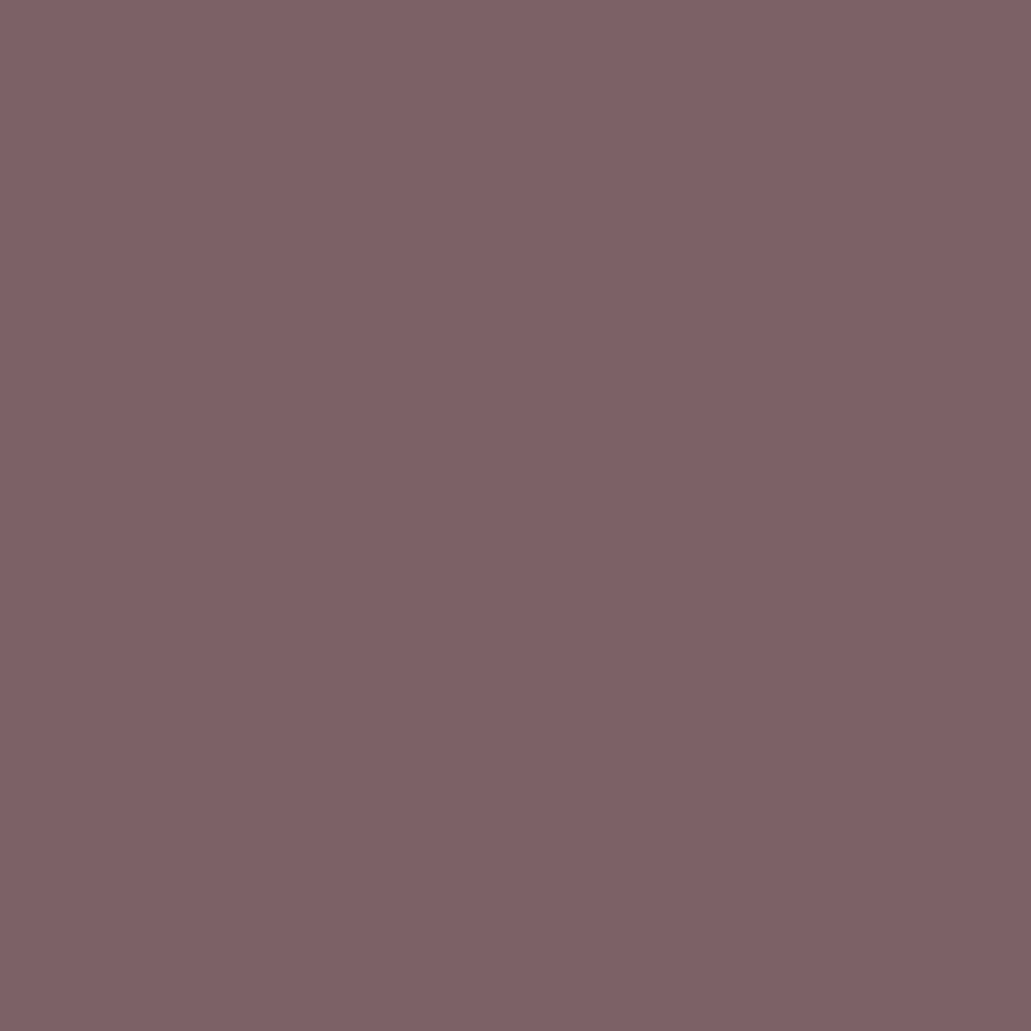 Untitled_design_-_2024-08-17T110520.956.png